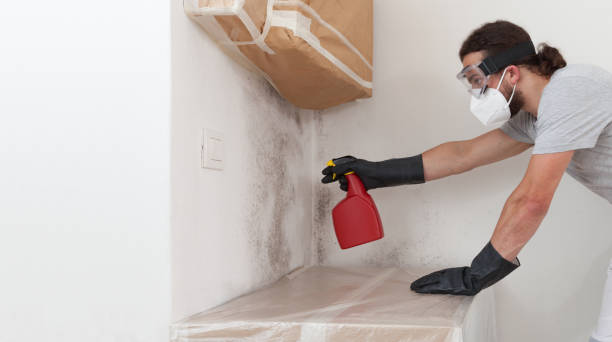 Professional Mold Testing technician working in Wakefield, MA